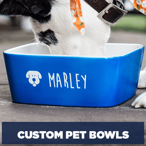 personalized cat food bowls